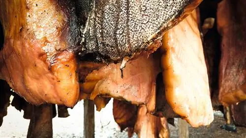 Еда в Исландии: удовольствия и пытки для вкуса