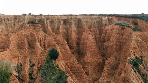Марка Мелильи доступна с 1 ноября.
