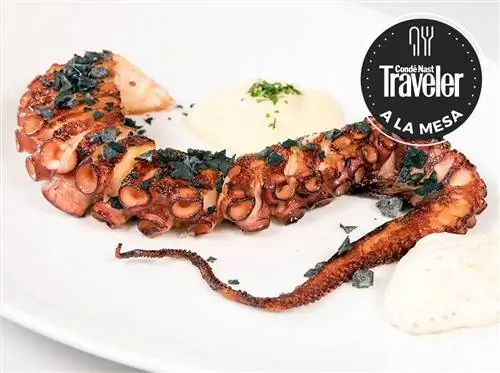 осьминог Антонио