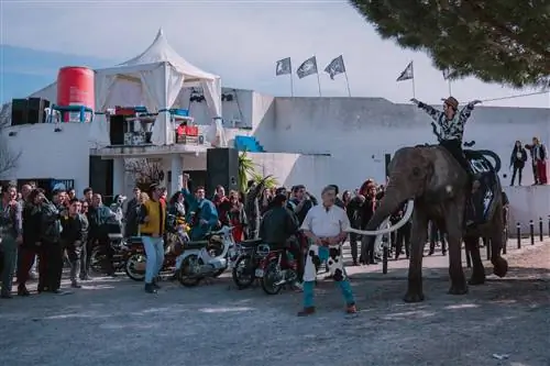 «Маршрут» в ATRESplayer PREMIUM