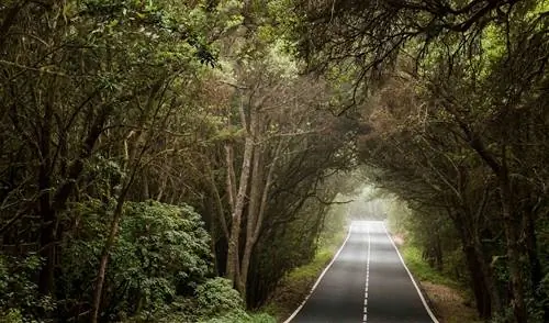 ла гомера роуд