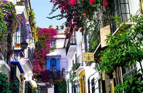 Это тоже Марбелья