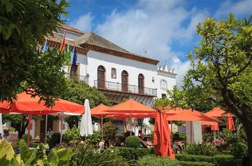 Оранжевый квадрат