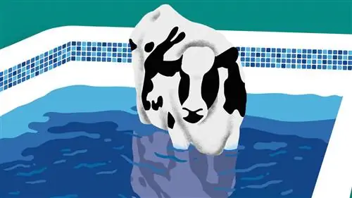 Путешествие к книге: чистый смех с «Тинто де Верано» Эльвиры Линдо