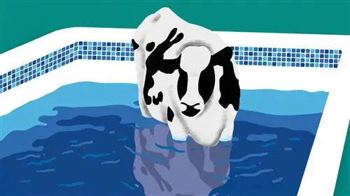 «Тинто де Верано» Эльвиры Линдо