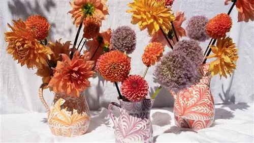 Pomelo Casa: андалузская керамика покоряет Лос-Анджелес