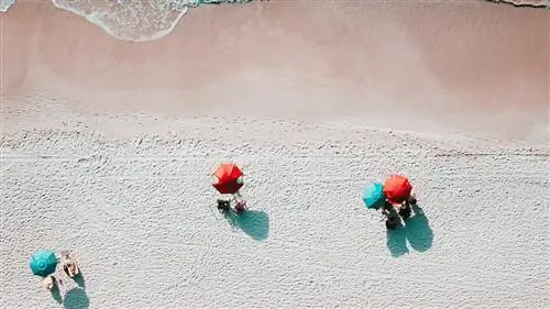 С этими аксессуарами ваш день на пляже станет немного легче