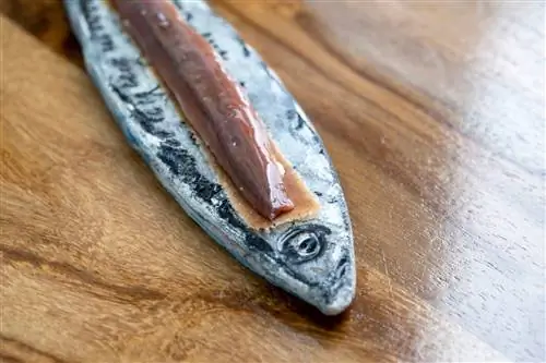 Хрустящие карамелизированные анчоусы и кофе в La Casona del Judío Cantabria