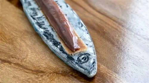 Сохранить море, первая остановка: северная Испания