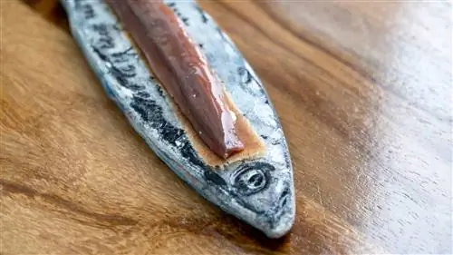 Хрустящие карамелизированные анчоусы и кофе в La Casona del Judío Cantabria