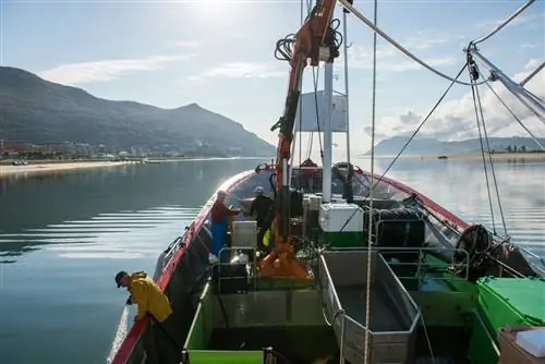 Анчоусная рыбалка в Кантабрии.