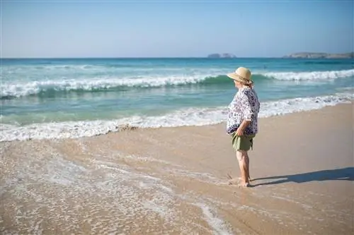 счастливая Ферролана