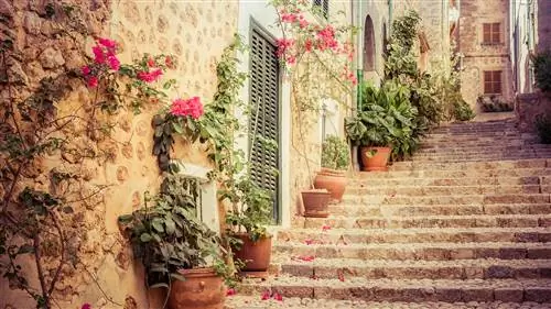 Форналукс Майорка