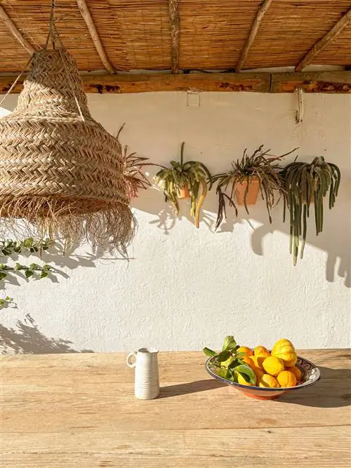 Вкусная витрина.