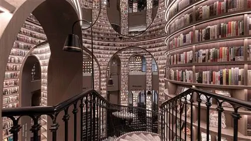 Летающие хлебцы.