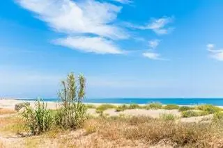 Пляж острова Корица