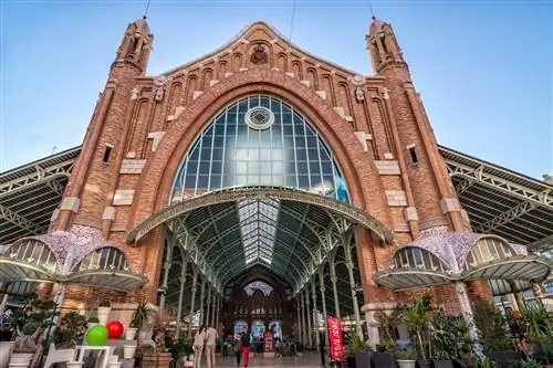 Колон Маркет