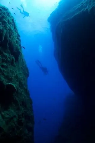 ПРИГОТОВЛЕНИЕ ЯЙЦА НА МОРСКОЙ ФОДЕ ПРИГОТОВЛЕНИЕ ЯЙЦА НА МОРСКОЙ ФОДЕ
