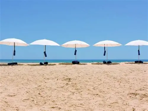 Привилегированная зона отдыха отеля Vila Monte Farm House на пляже Барра-да-Нова.