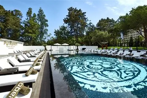 Пуробич Виламора