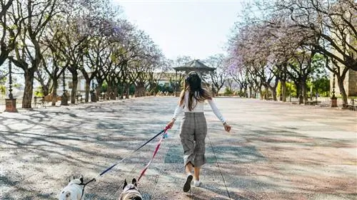 Херес-де-ла-Фронтера: искусство Кадиса вдоль четырех «побережий»