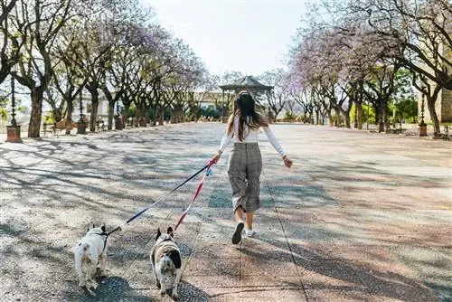 Искусство Херес-де-ла-Фронтера Кадис на четырех побережьях