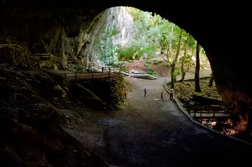 Зугаррамурди нет ведьм кроме да юю