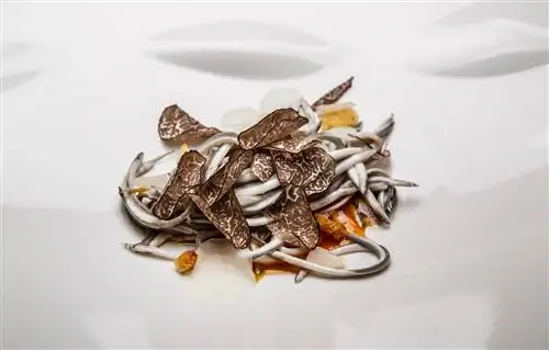 Яйцо угря и трюфель в Casa Gerardo