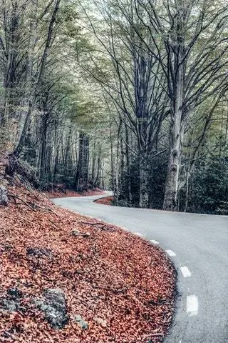 Природный парк Монтсени