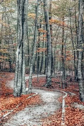 Природный парк Монтсени