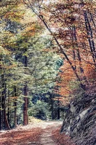 Природный парк Монтсени