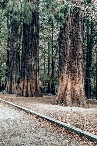 Природный парк Монтсени