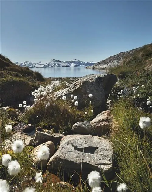 12 месяцев и 5000 километров кулинарного путешествия по Дании вылились в книгу «Nordic by Nature».