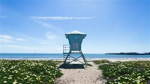 Калифорния никогда не кончается: первый этап эпического путешествия