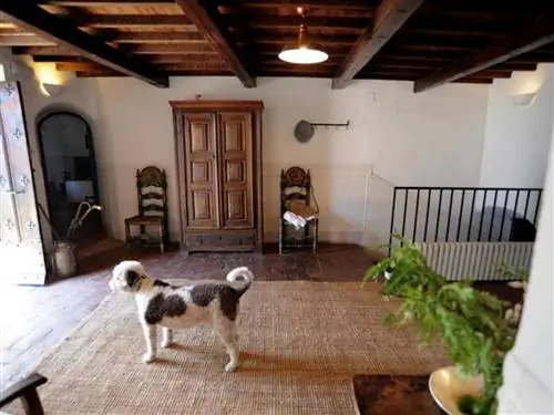 Хулио Льямазарес выздоравливает в «Весне Эстремадура». Нотки естественного' украденная весна