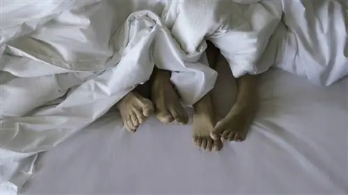 Идеальная мечта существует и может быть осуществлена в мадридском отеле