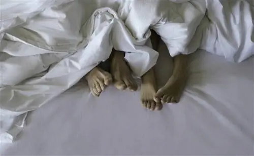 Цель люкса Sleep Haven в отеле Meli Madrid Serrano - обеспечить гостям глубокий сон, чтобы они…