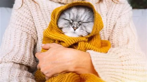 Ибица, которую вы не могли пропустить среди наших любимых направлений. Пляж, ветерок, песок и солнце перемещаются в…