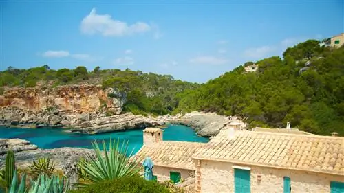 Причины поехать на Майорку этим летом