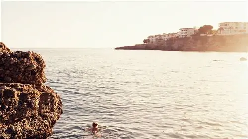 Как выжить (и получить удовольствие) в Малаге в разгар сезона