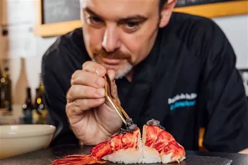 Бенджамин де ла Мата в своем Rogue