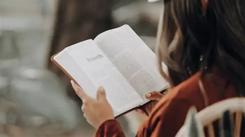 Ночь книг возвращается в Мадрид: это все, что вам нужно знать