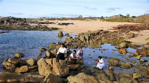 Лучшие рестораны провинции Понтеведра