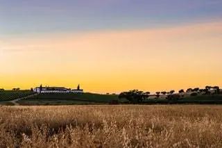 Эрдаде да Малхадинья Нова