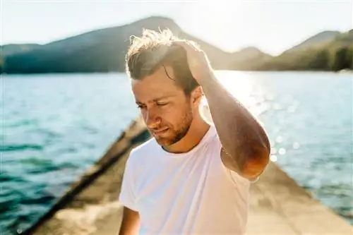 Франческо Карроццини