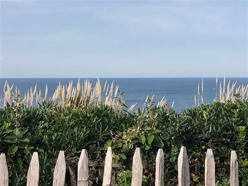 Виды из прибрежного ботанического сада Поля Жове в Сан-Хуан-де-Лус.