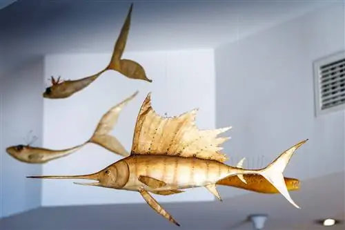 Ресторан недели Taberna del Chef del Mar