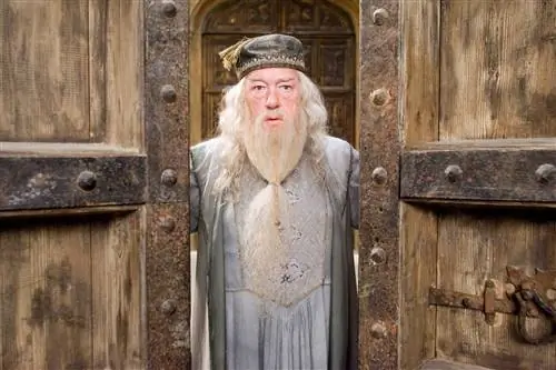 Дамблдор Гарри Поттер