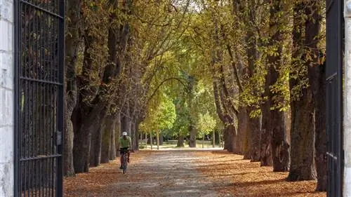 Другая сторона Бургоса, творческое и зеленое чудо