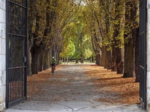 Паррал Парк Бургос